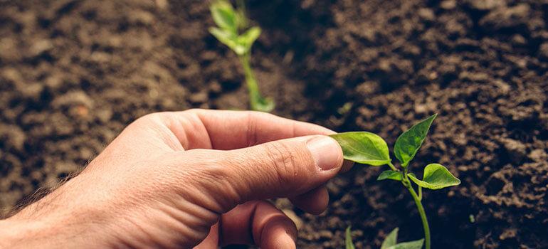 Περιφερειακό Κέντρο Προστ. Φυτών & Ποιοτικού Ελέγχου Αχαϊας