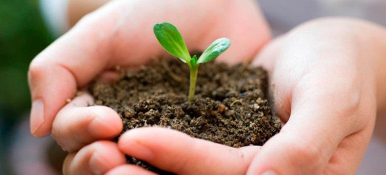 Περιφερειακό Κέντρο Προστ. Φυτών & Ποιοτικού Ελέγχου Ιωαννίνων