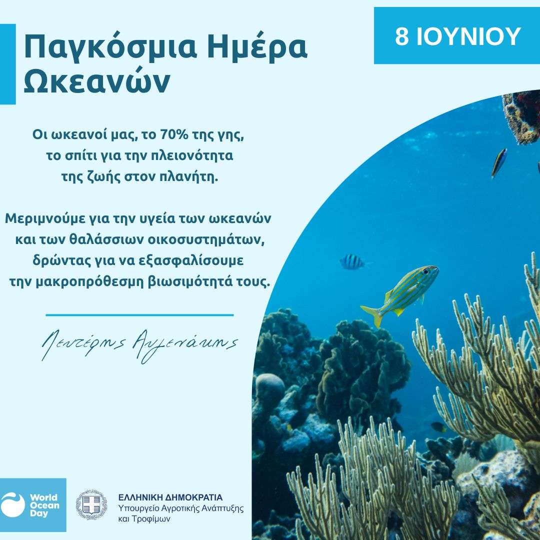 foto typos080624 1