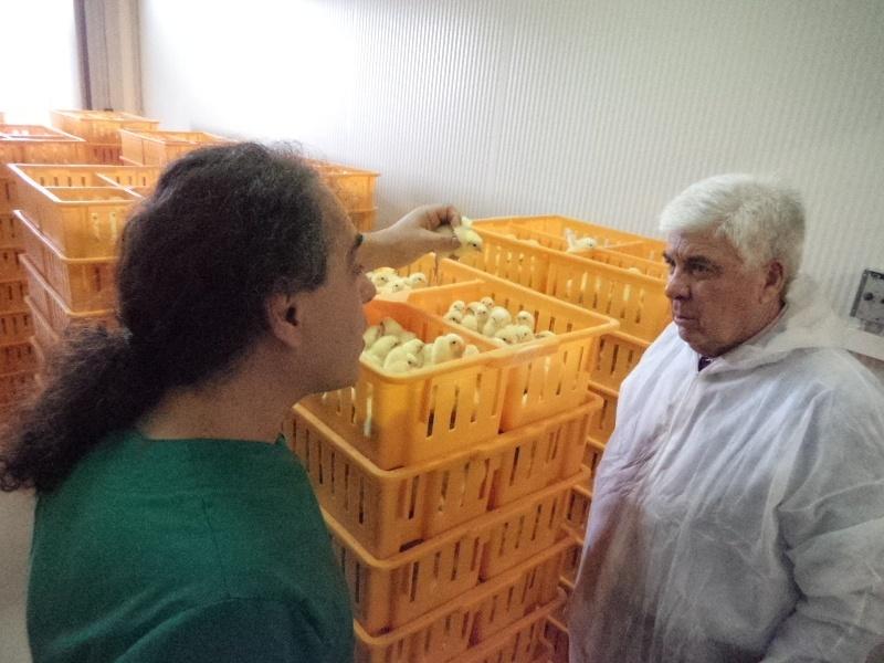 14-10-13  εκκολαπτήριο 1