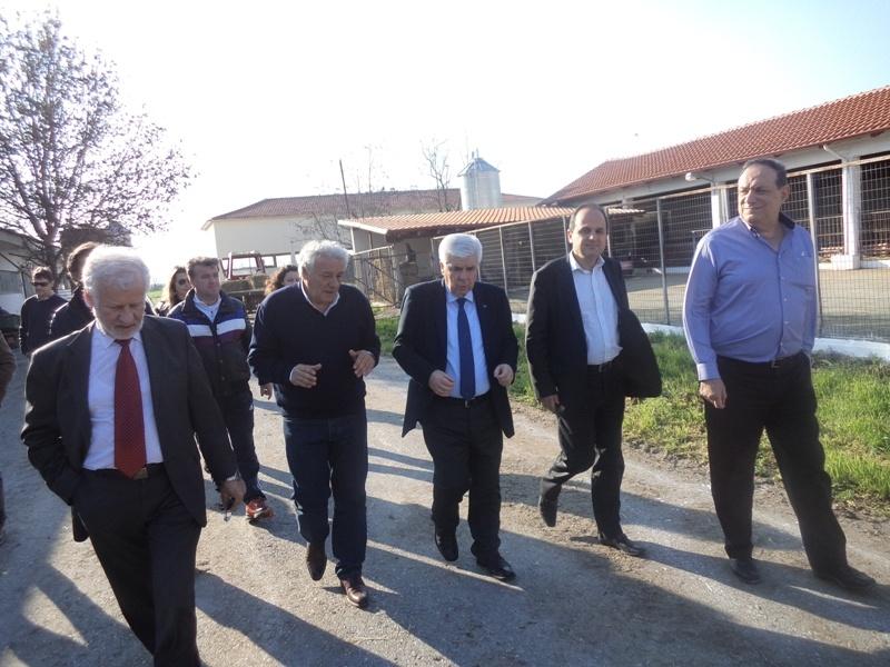 17-3-2014 ΖΩΝΗ ΚΤΗΝΟΤΡΟΦΙΑΣ-GIANNITSA