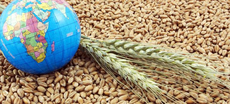 Ministry of Agriculture | International Organisations