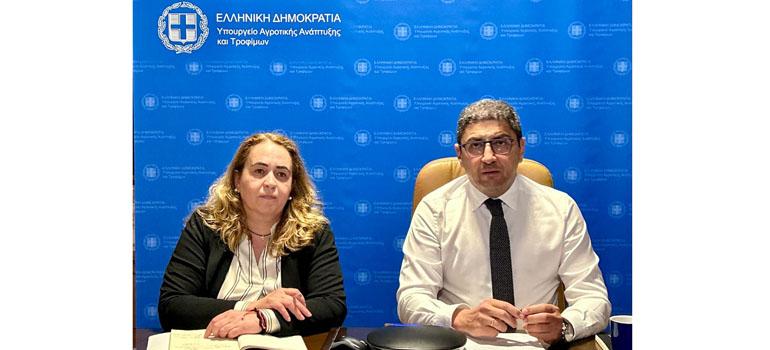 fototypos0603241