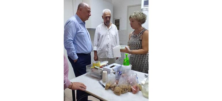 fototypos0609246