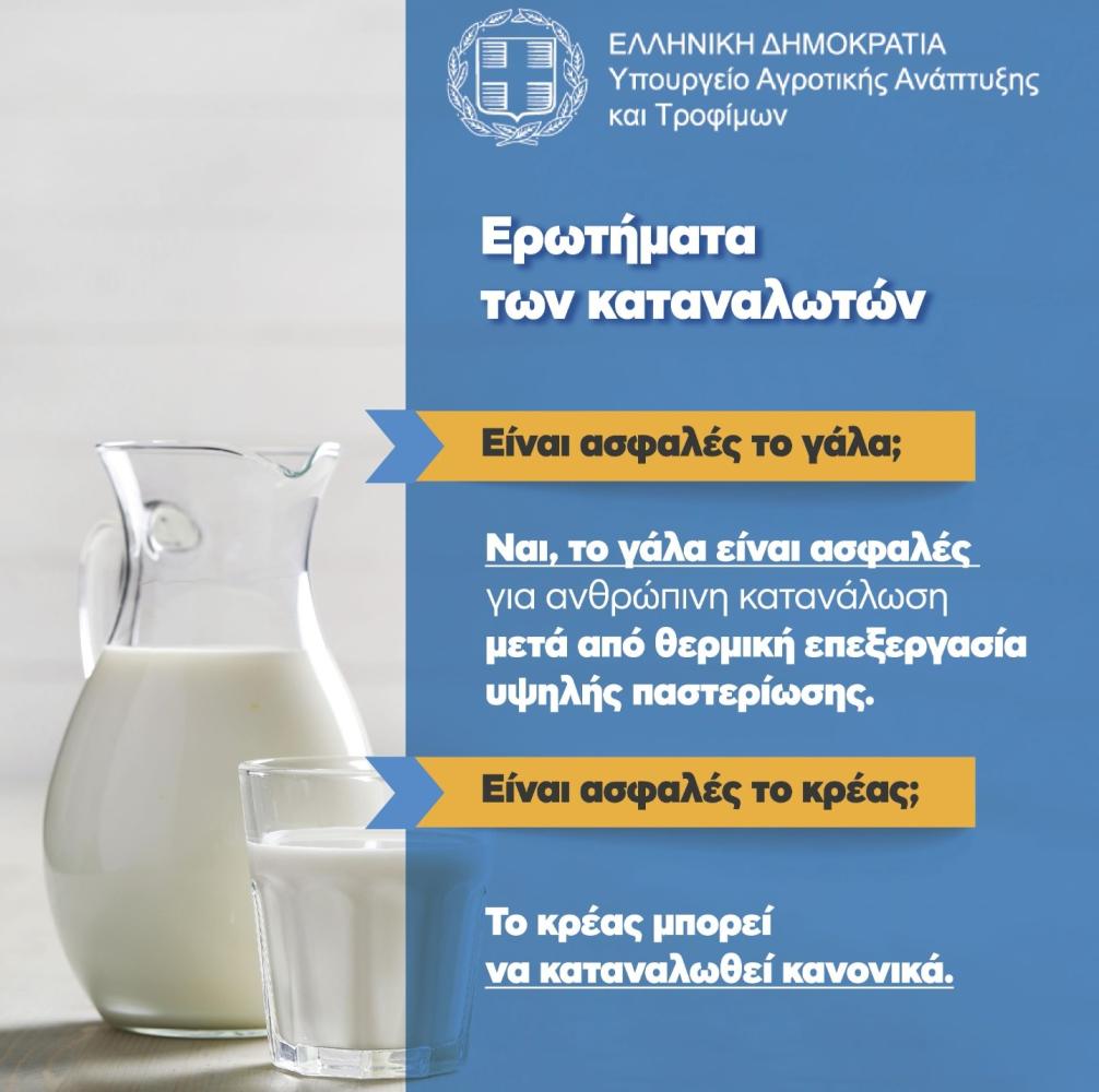 fototypos2410242n
