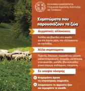 fototypos2410243n