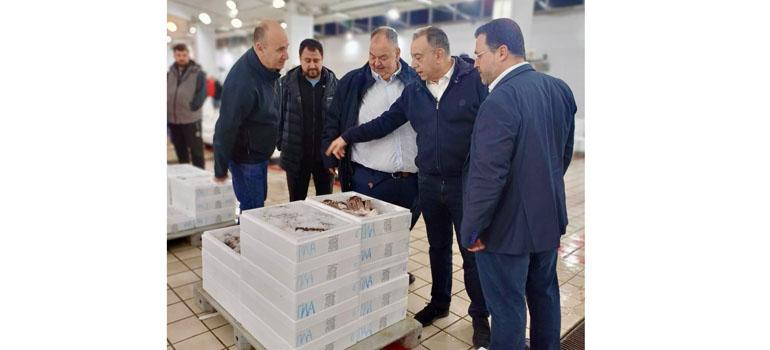 fototypos0404252 fototypos0404252