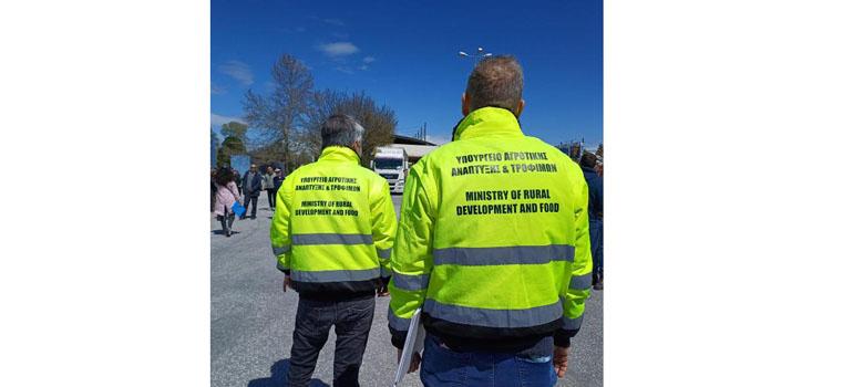 fototypos1104255 fototypos1104255