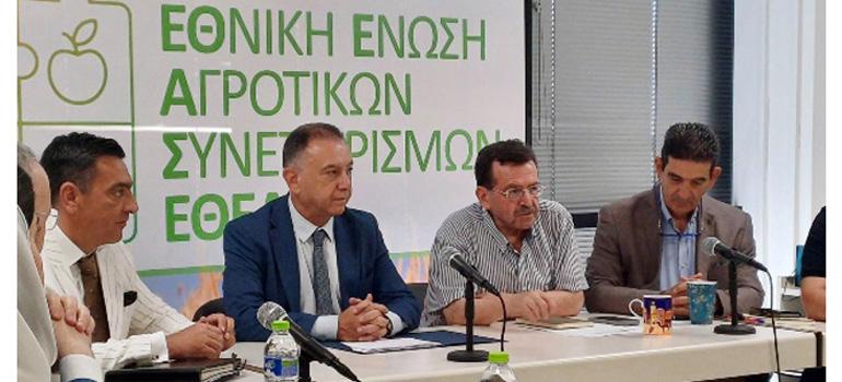 fototypos1407251