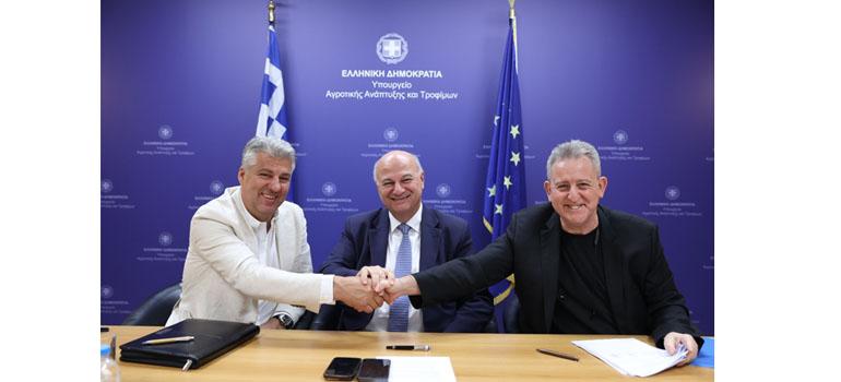 fototypos250725e