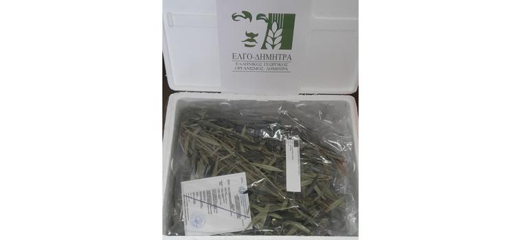 fototypos1111251 fototypos1111251