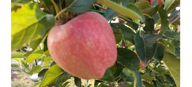 fototypos1111253 fototypos1111253