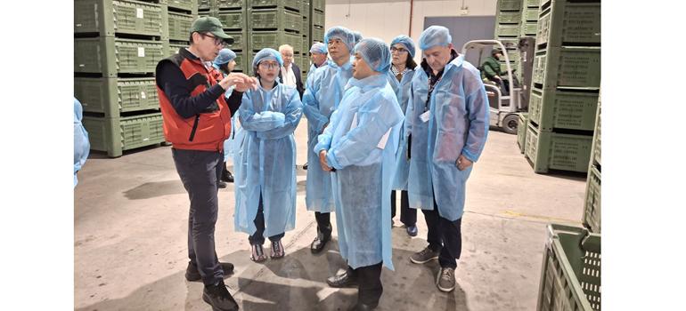 fototypos1211253 fototypos1211253