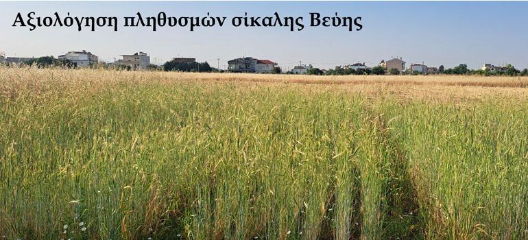 8programmagenetikousporous0302268